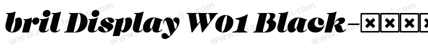 bril Display W01 Black字体转换